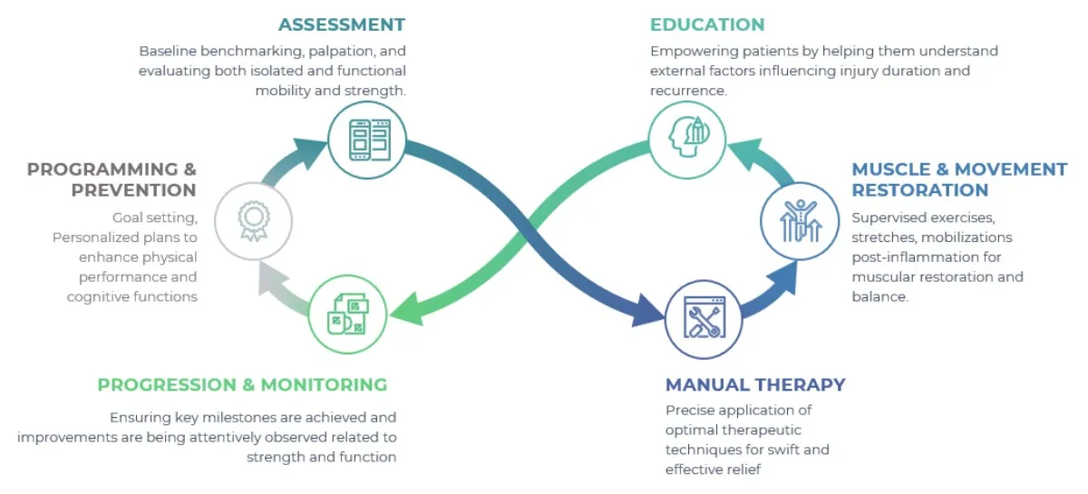 Active Performance Therapy treatment process cycle: assessment, education, muscle and movement restoration, manual therapy, progression and monitoring, programming and prevention